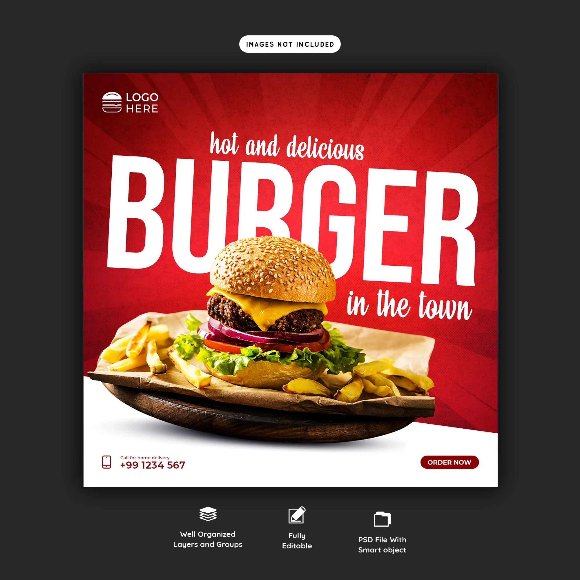 Delicious Burger Social Media Post