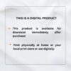 Letterhead Bundle