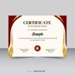 Certificate of Participation